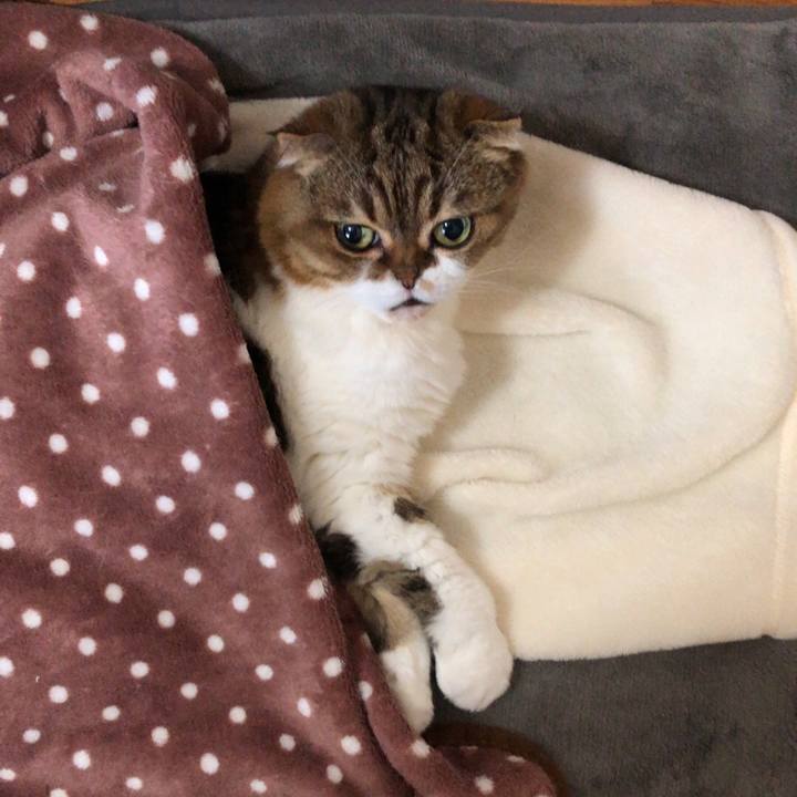 Cb9c1a97 eff2 4501 a0a3 bd8ce5c6010f 1540185898886