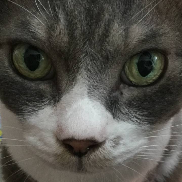 Cb9c2e7f 21ec 4069 bfe5 bc1baff089b5 1597128774108