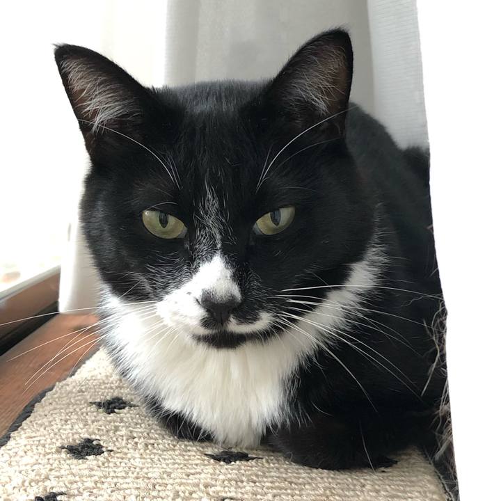 Cb9c68bc 5320 4e5a b799 f9c991e7b2f6 1601263617816