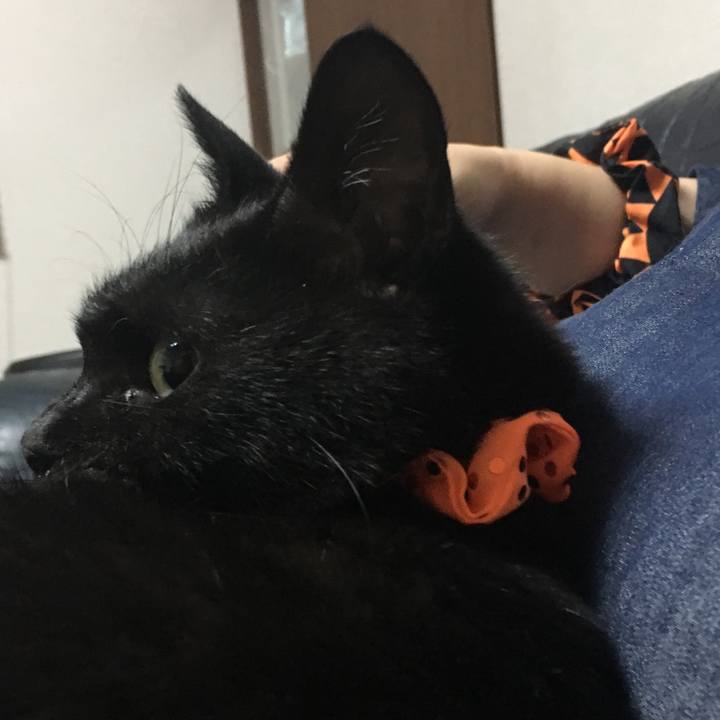 Cb9c6f8f baab 4af4 b944 440986f254c0 1538223987876