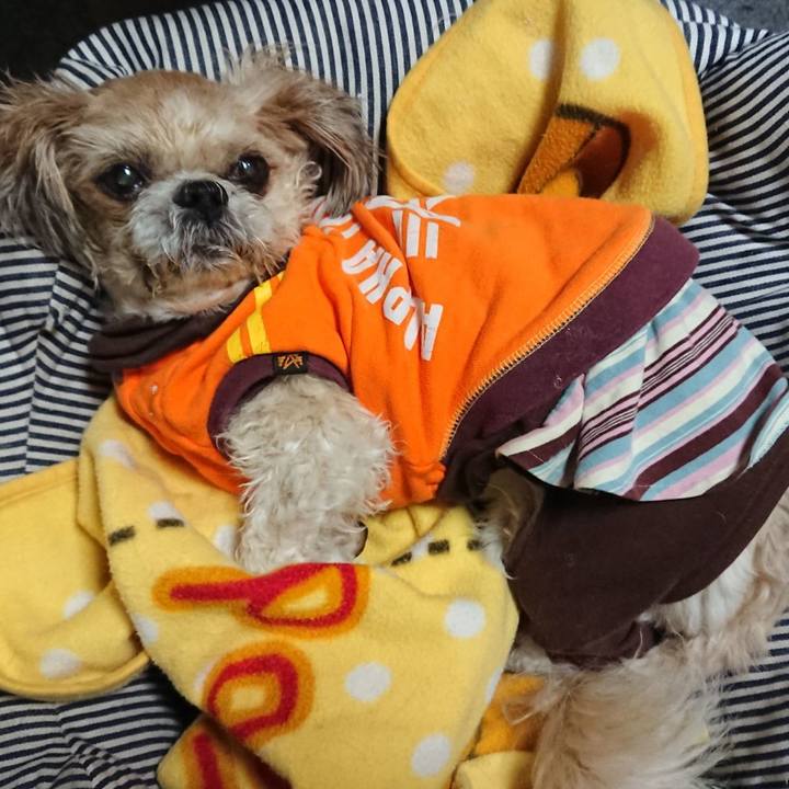 Cb9c9157 745c 43f1 ace3 585aa036dd11 1553228688994