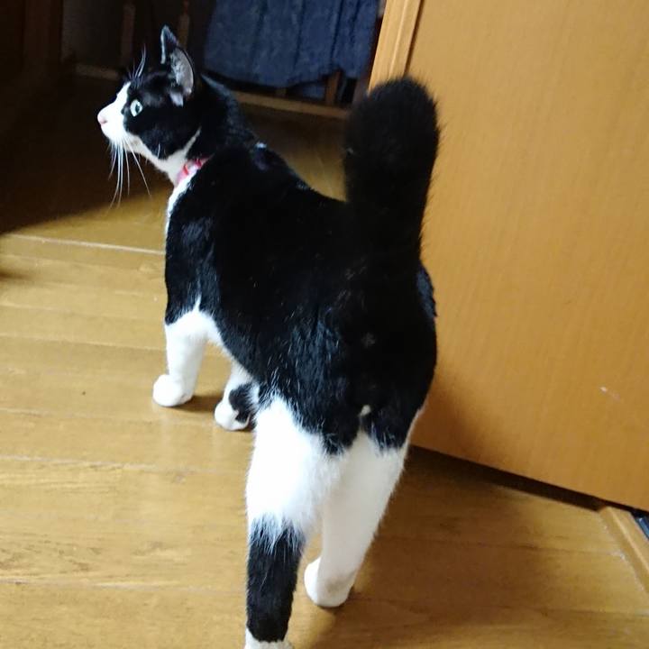 Cb9cbc46 0608 41e4 84ab e3f0e474da6c 1599865980101