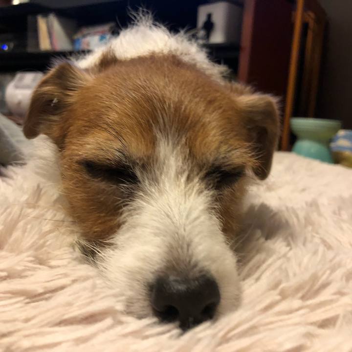 Cb9d26c2 5678 474a a02b 1c7f99af28d4 1612609586324