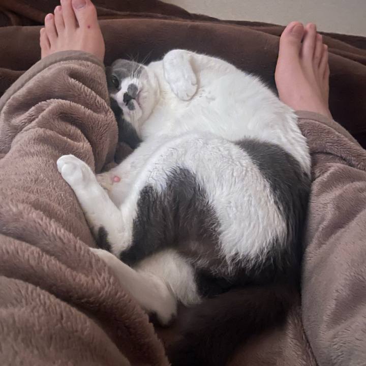 Cb9d68d6 f0c4 4d59 836b 8baf09576df3 1697580601214