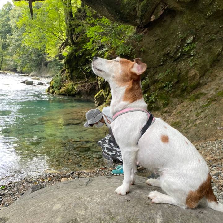 Cb9d6f7e fc2a 46df 8498 72d8a6177234 1602684833012