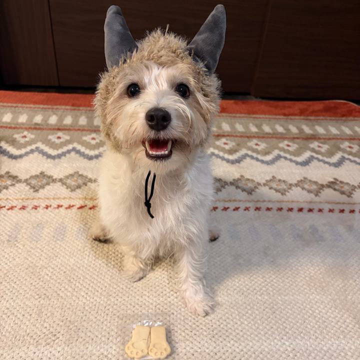 Cb9d77a6 8b2b 4222 90e4 499184d1c29b 1759573651367