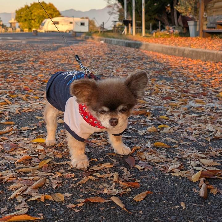 Cb9d79b0 e57b 4a6a a311 a702343eb9eb 1763419647361