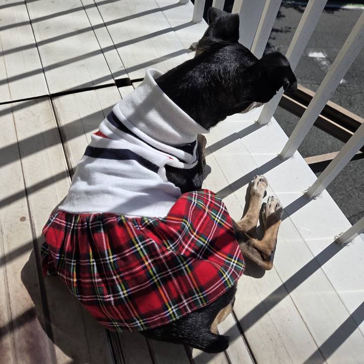 Cb9d8bba 3e77 483c 85ab 67c7c14af543 1757129858060