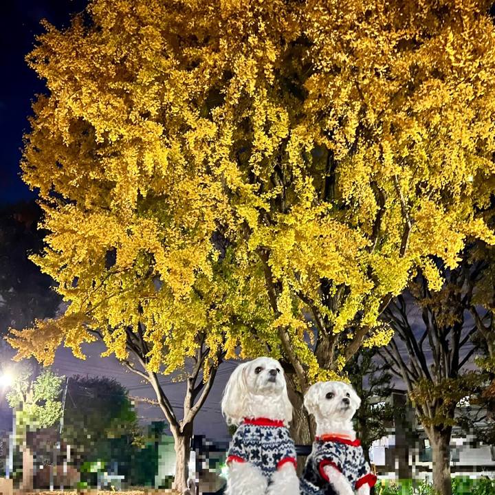 Cb9d8efe c8dc 4884 ba21 675212482e52 1669707711389