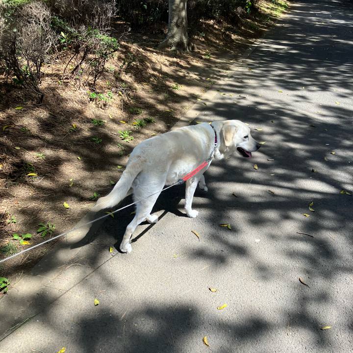 Cb9d972d 0bd8 407f a019 f3daaebcc449 1681976286434