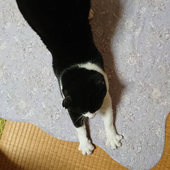 Cb9db98a a2b0 4ff7 9d89 870a2848b780 1554680202398