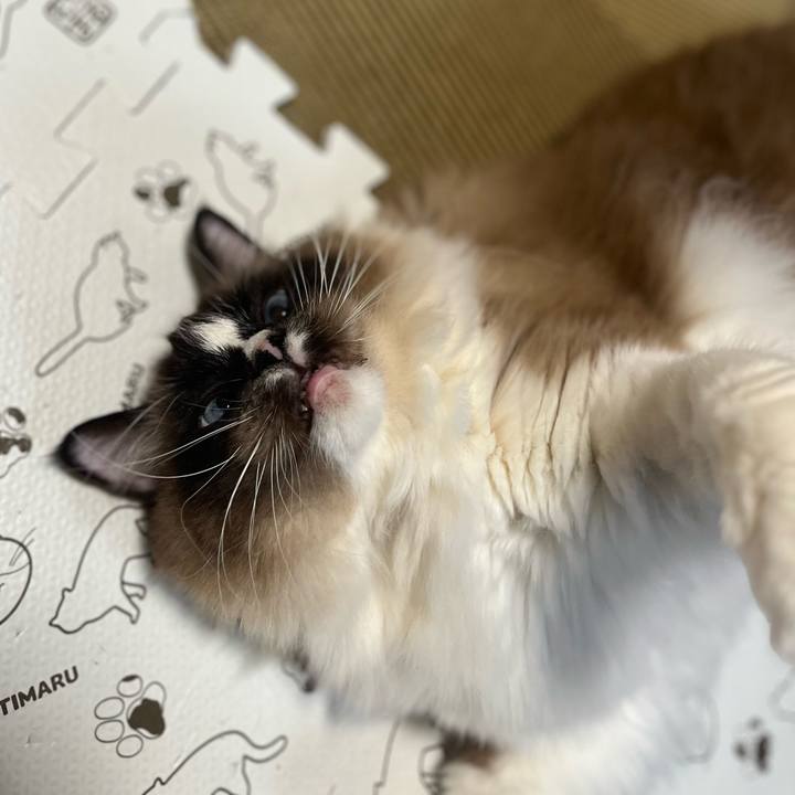 Cb9dce43 f7ac 4e98 b491 78fe69a981c8 1710762960701