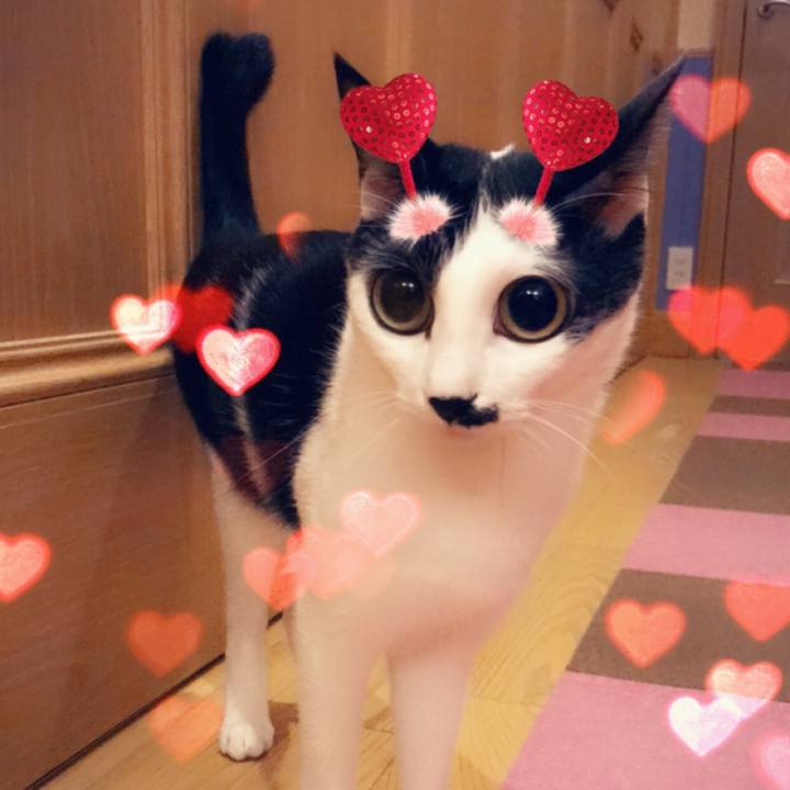 Cb9de5ce f056 46ea 9258 b4e4863bd33c 1559581136027