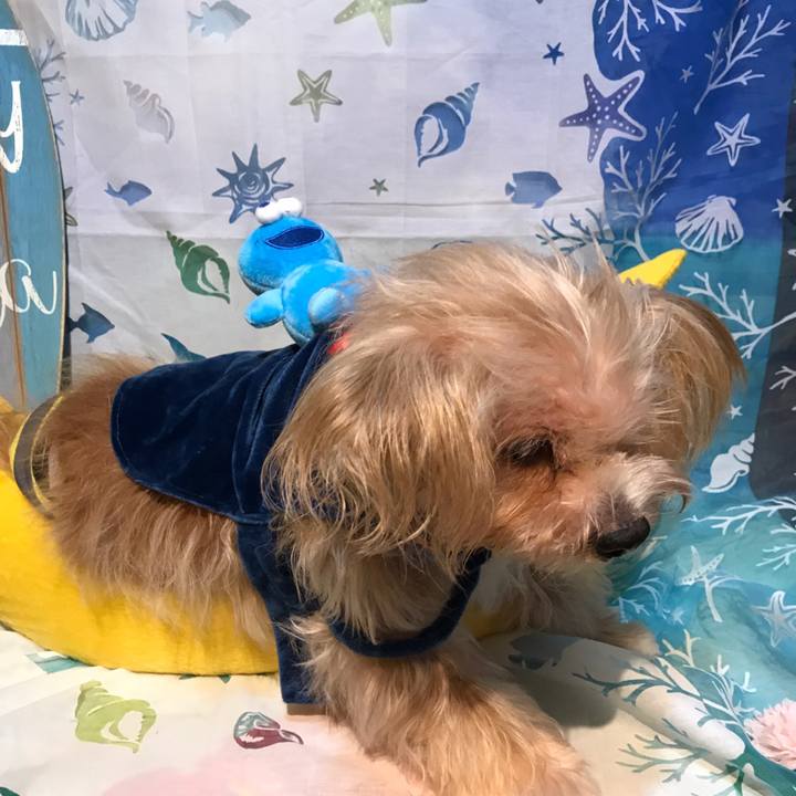 Cb9dfe86 3be3 4ee4 a5a9 e199582131c9 1536688153685