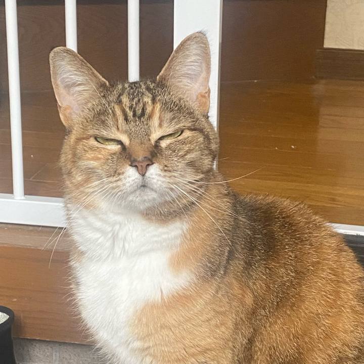 Cb9e36df 4b79 47ab b63e ccd0476a4ac1 1748753003761