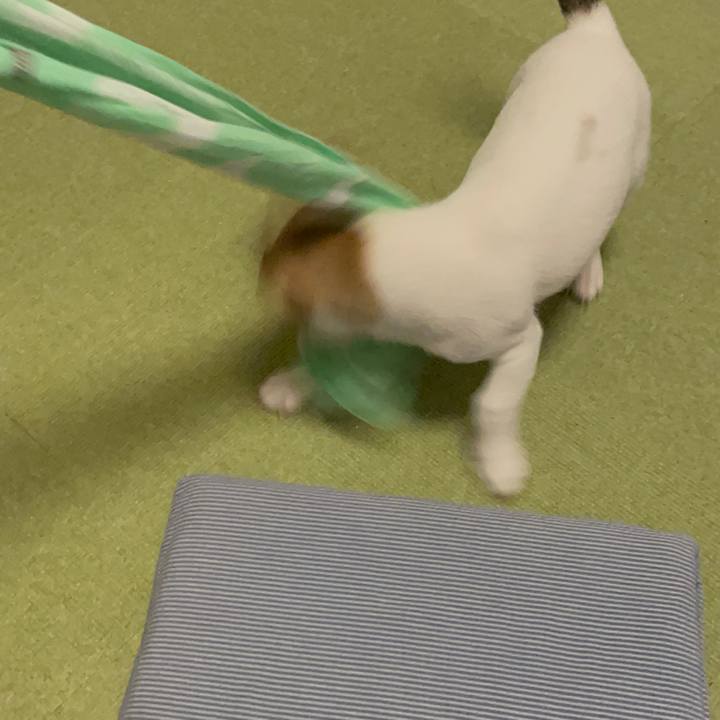 Cb9e5473 086d 4448 8bed 73c60ee0b627 1666354518580