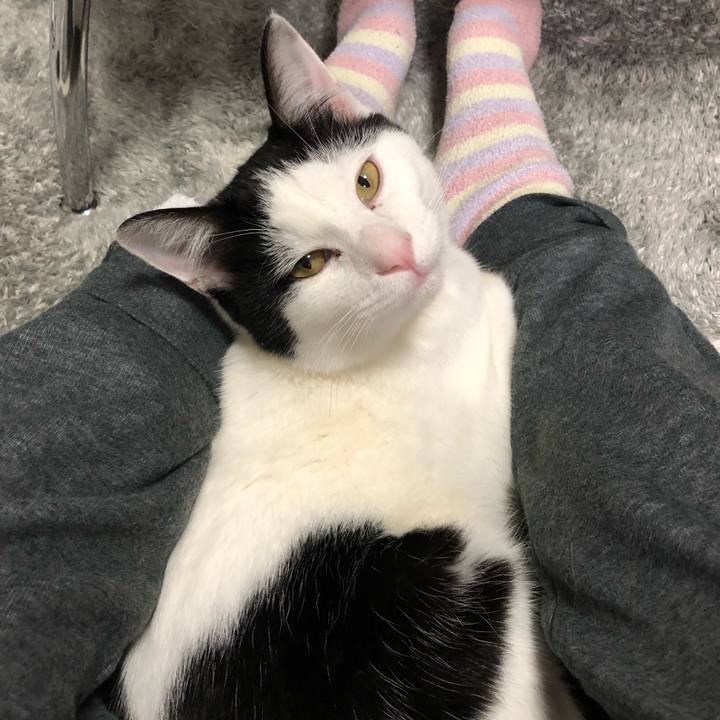 Cb9e68ac 411b 47fa 805d 7268c5ad3326 1551697980551