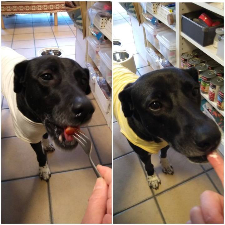 Cb9e6a57 8cb7 44c5 b51f 071915173e9a 1617619614218