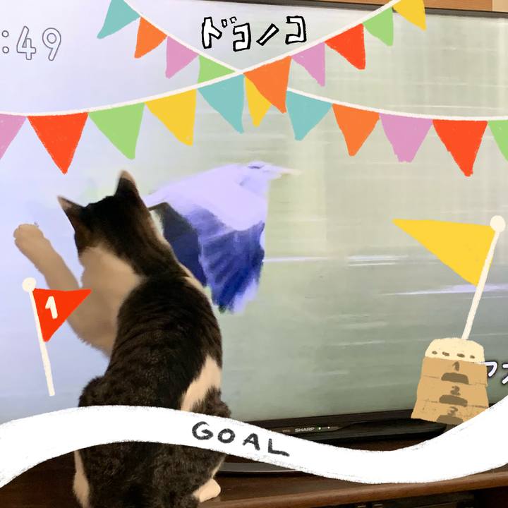 Cb9ed79c d11f 4bb7 9867 a019607ff267 1729552430709