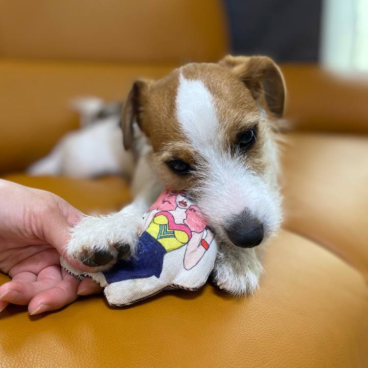 Cb9f13e1 bb52 4e63 88c8 327d49198d7c 1669072476779