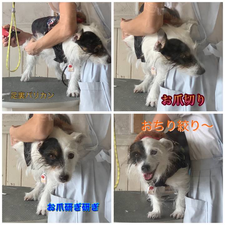 Cb9f1ac2 bb55 406d 9369 937b05ed02a7 1610689374092