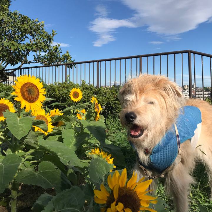 Cb9f2976 44d0 4188 b41c 7b1163e4ca12 1659690532622