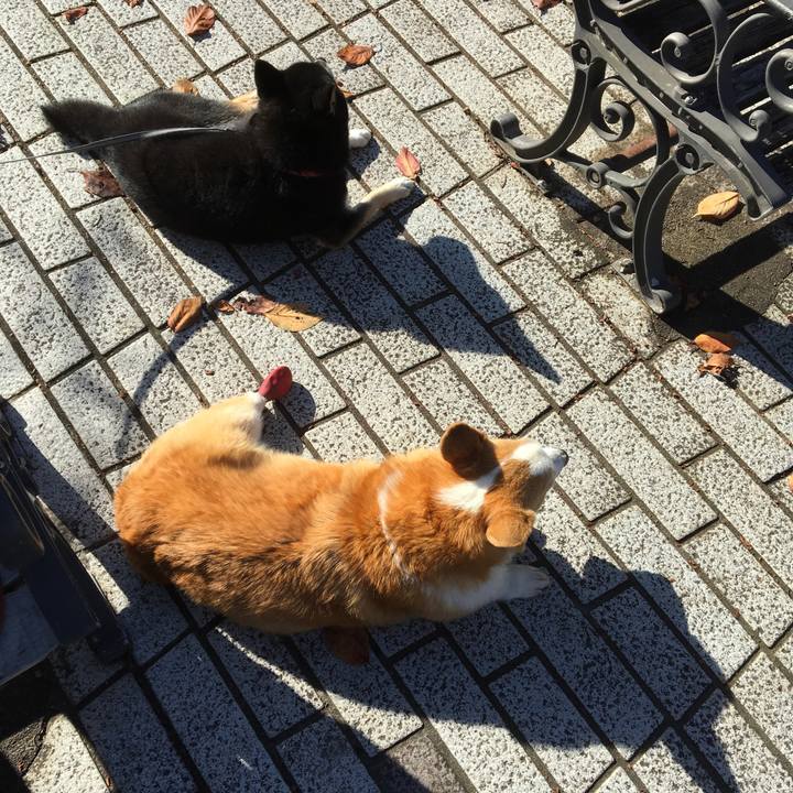 Cb9f32ee d203 4820 8da7 3498d6f400fb 1543542772916