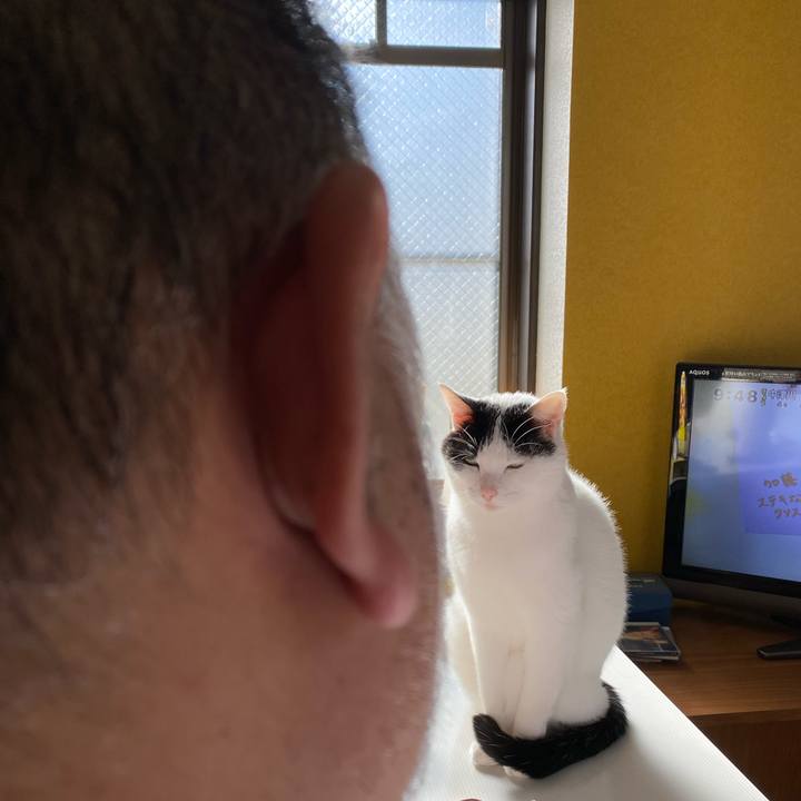 Cb9f3c06 4250 4654 a139 ffc4bf1de724 1608176391229