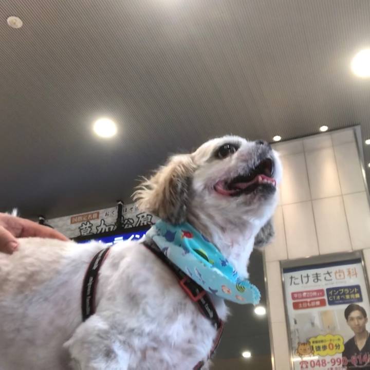 Cb9fa65a b65e 4cab ad5f 80f100f65a69 1597873549111