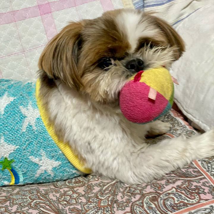 Cb9fc3f4 a32f 49f0 af4d 27e6d11f9ced 1601978827833