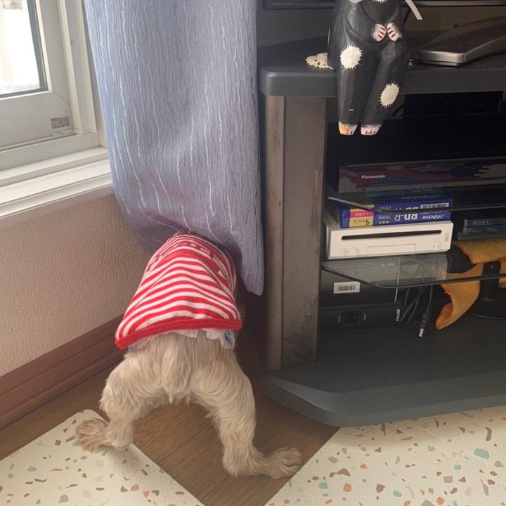 Cb9ff7ed 0b6e 4d43 b951 a61cede248bb 1669888706399