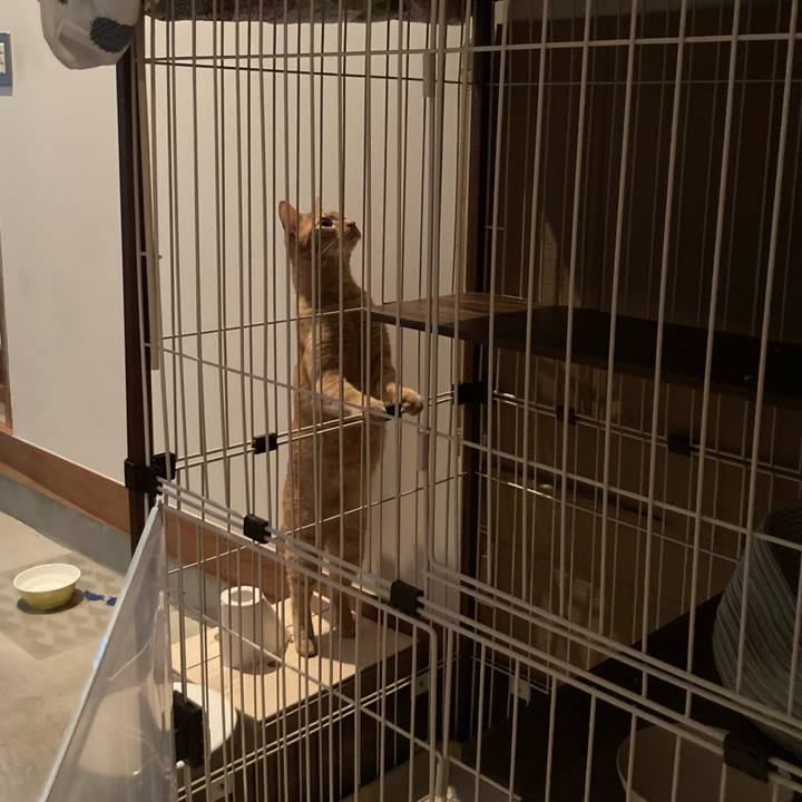 Cba02b05 6748 4267 b244 0d408a687717 1660563045686