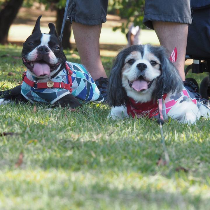 Cba03618 6af8 40c2 96e3 dd87e504335e 1570249364298