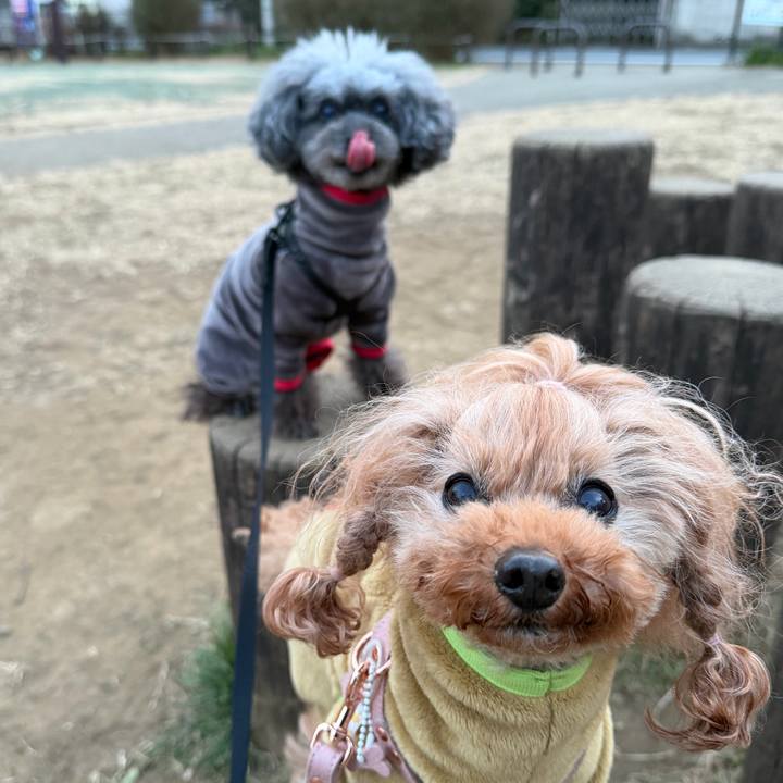 Cba059c5 45f9 4188 8e5c fcadb96d60ec 1769384410794