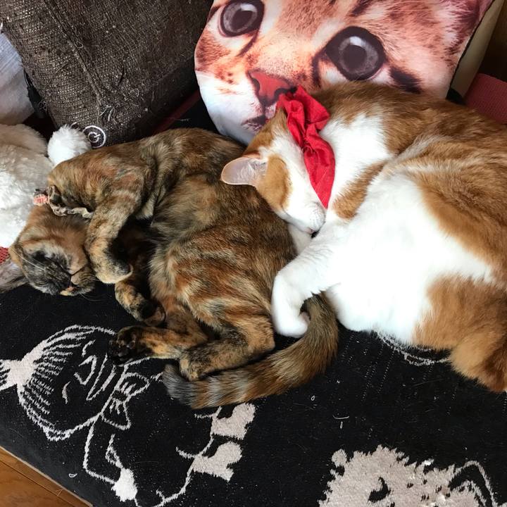 Cba09929 f15f 4979 b7fd 2c3039452f1d 1624771861639