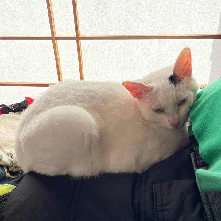 Cba0b582 21ec 48d3 af00 1079eb7aa0a5 1763348281350