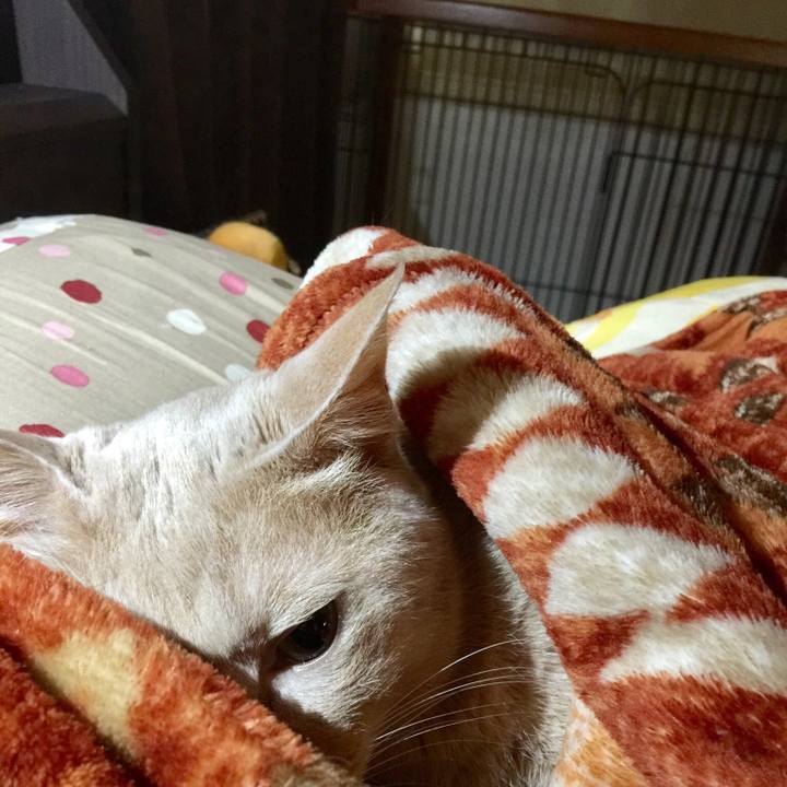 Cba0ee25 8499 457e 936b 66274b1729ee 1547431242628