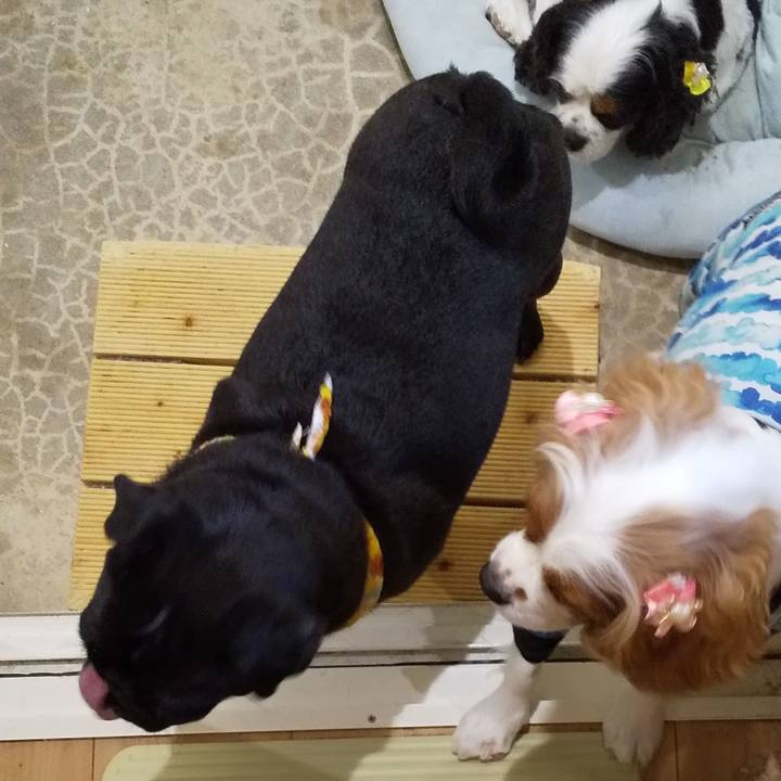 Cba0f5bc 1dff 4b56 a559 6a8b92cc8523 1598441834906