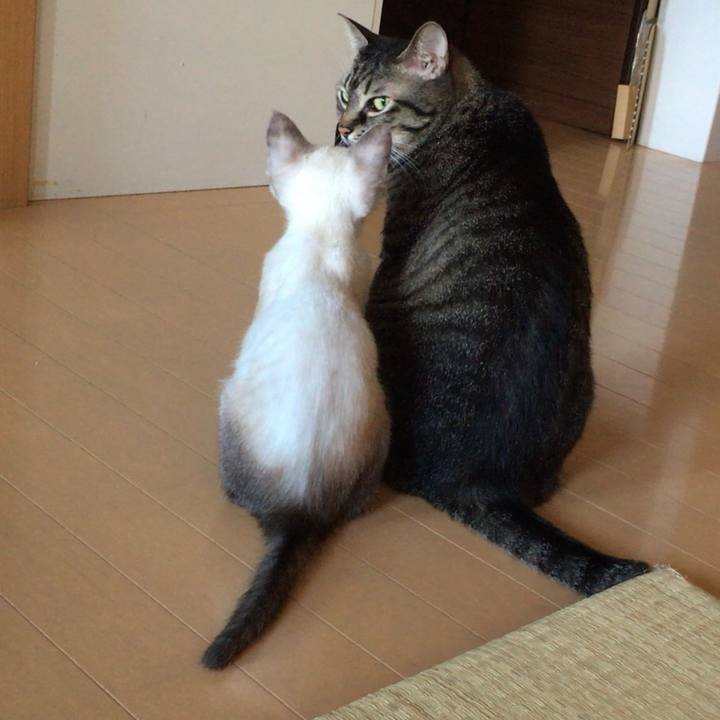 Cba0fd6b 18ca 43f0 81bf 8690a6e5d7ff 1533270439223