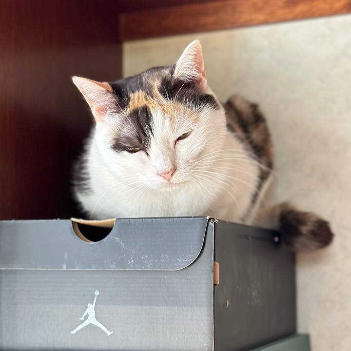 Cba136f5 f45f 459f b2b0 0b08932296a6 1690418427261