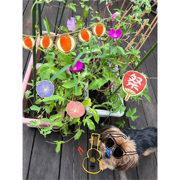 Cba138b8 b509 43cb b8b5 4cdb151eae19 1723947739673