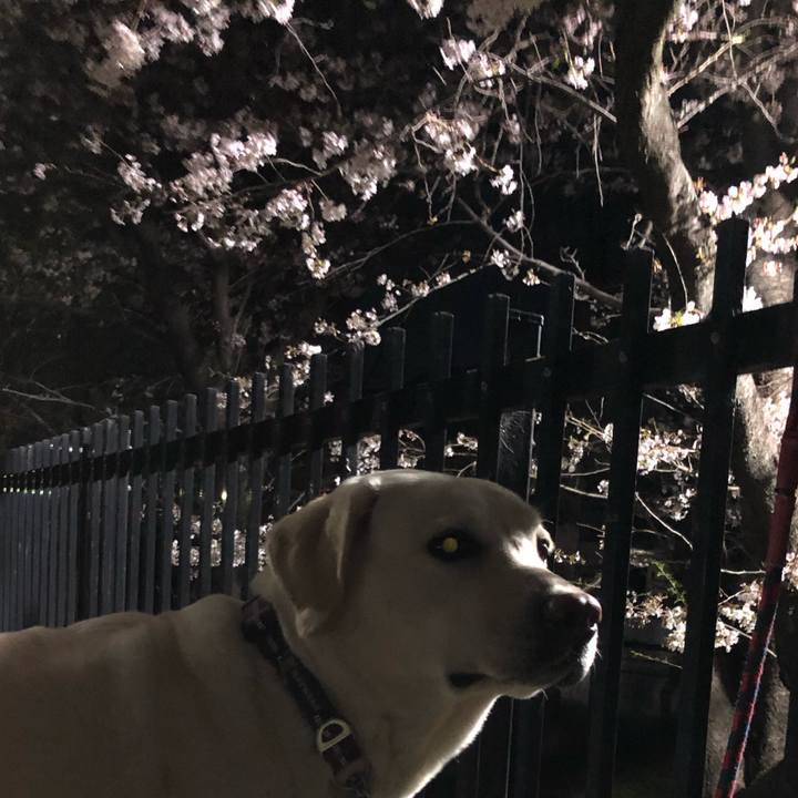 Cba159ec 9074 4005 9a9e 334a327ed832 1616773594862