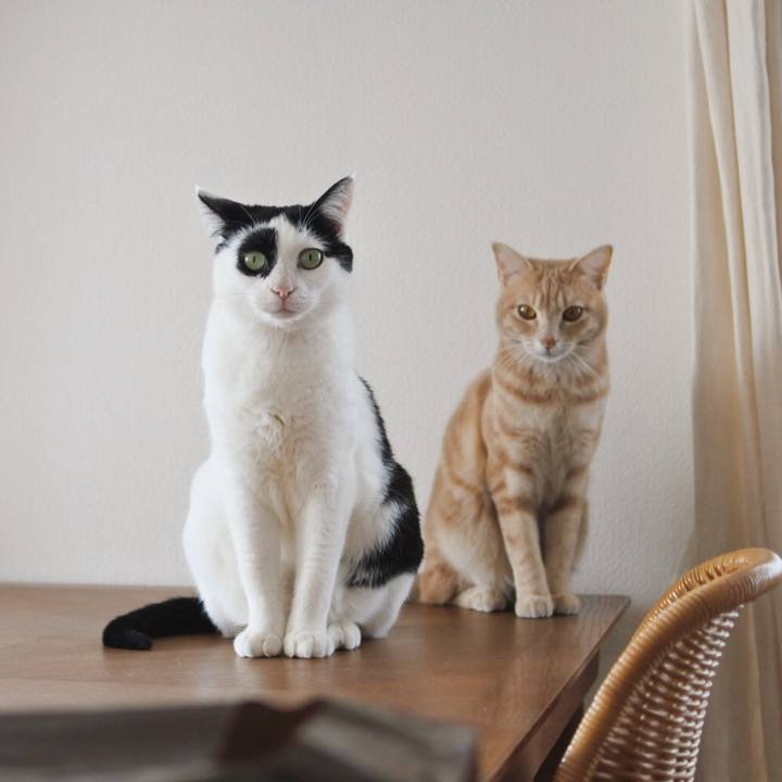 Cba18b44 69a7 4690 81da 7fb27e02ae9e 1581470737775