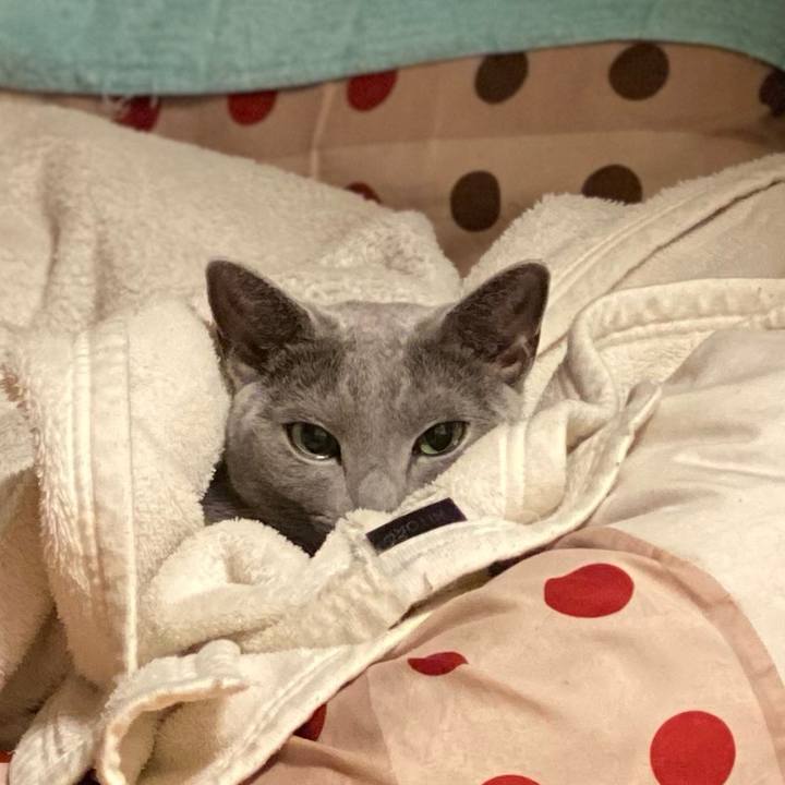 Cba1c96e 1c80 4fca 8396 63051ac823ac 1667655246423