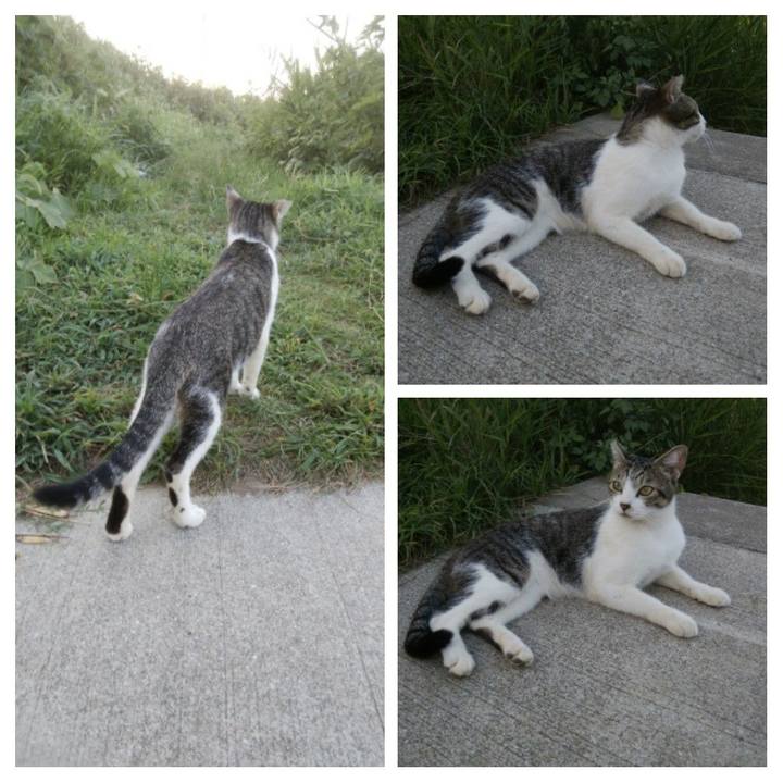 Cba1d5d4 905d 4fea ac17 db78debc1dd7 1534679321338