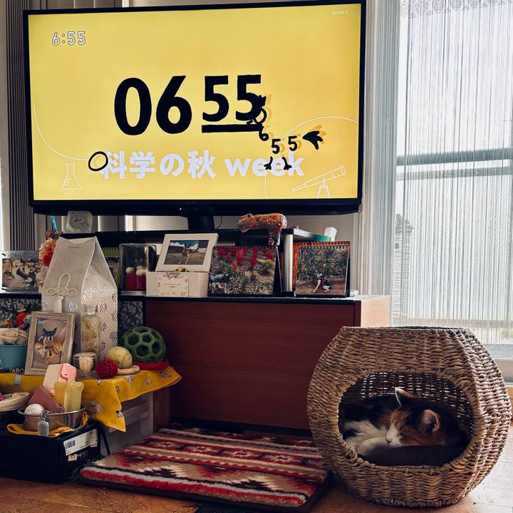 Cba1e65d 6a32 4c71 a1ab fffabd98db30 1731020330522