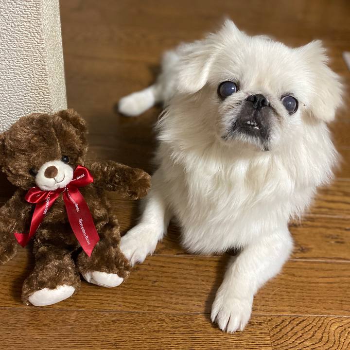 Cba1f7f0 aab1 4cb0 a7a2 6a4ee2d523a6 1598359333262