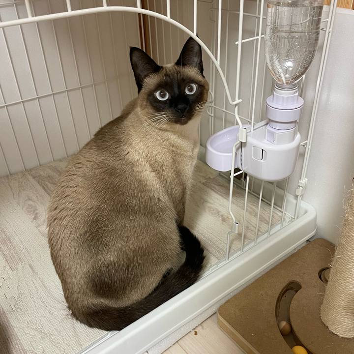 Cba21b7b e653 44f1 a86f 008700eb9999 1731096653556