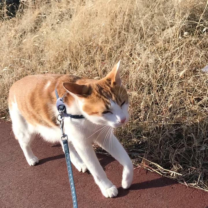 Cba222ba 7b33 4743 9f12 aac9b6e87f17 1515647767063