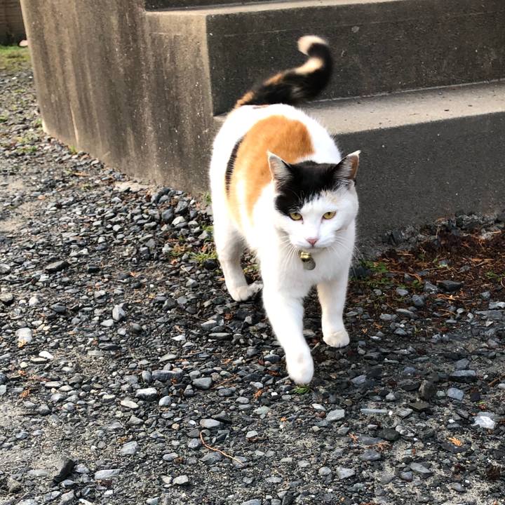 Cba22606 f865 44ef 90dd 6d2204cef717 1615762517151